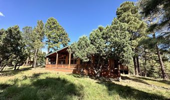 102 Pine Cone Ln, Alto, NM 88312