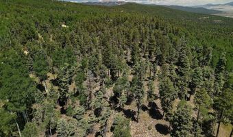 97 Zia Rd, Angel Fire, NM 87710