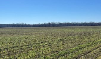 001 CR 532, Avalon, MS 38917