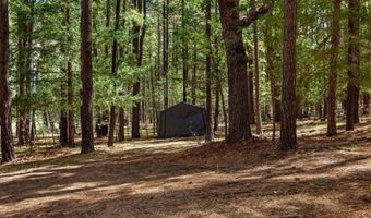 2 County Road 2081, Alpine, AZ 85920