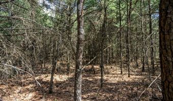 S Badger Lane lot 39, Arkdale, WI 54613