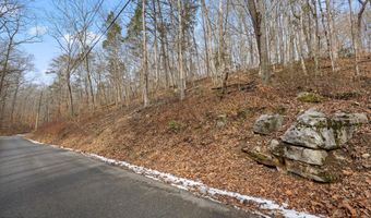 Fox Hollow Lane, Andersonville, TN 37705