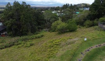 64-635 KOLOHALA Pl, Kamuela, HI 96743