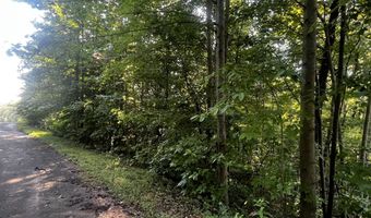 41 Planters Crk, Baldwin, GA 30511