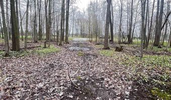 Fox Ridge Lane, Allenton, MI 48002
