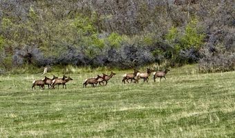 15098 CR 240, Bayfield, CO 81122