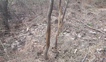 U.S. Highway 51, Bogue Chitto, MS 39629