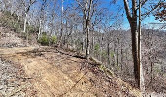99999 Green Ridge Falls Rd 17, Barnardsville, NC 28709