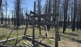 Off Hicks Road Lot 3, Bly, OR 97622