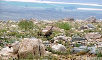 Stagecoach Spur W lot 935-3, Belfry, MT 59008