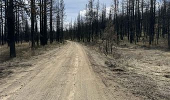Lot 800 NF 4464, Beatty, OR 97621
