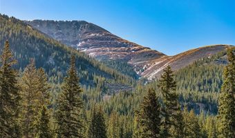 280 Whispering Pines Cir, Breckenridge, CO 80424
