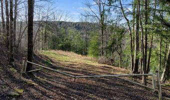 597 COUNTY ROAD 4028, Arley, AL 35541