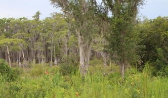 21558 NW Lake Mckenzie Blvd, Altha, FL 32421