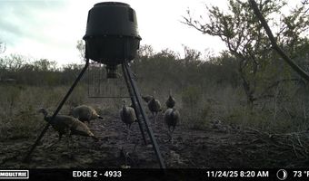 216 County Road 171, Alice, TX 78332