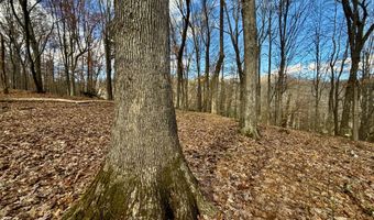 1520 Brittontown Rd, Afton, TN 37616