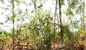 590 County Road 247, Bruce, MS 38915