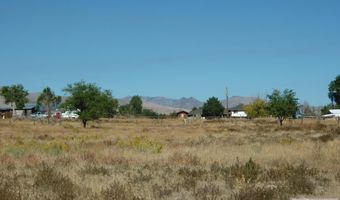 1723 Valley Ave, Challis, ID 83226