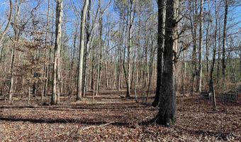 0009 SPRINGHOLLOW Rd Lot 9, Ashville, AL 35953
