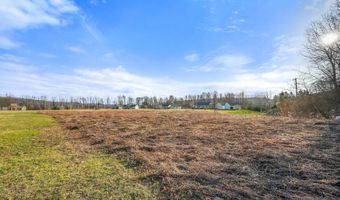 L43.3 Fairway Court, Afton, NY 13730