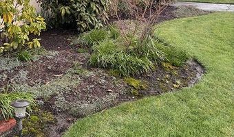 1325 8TH Ave SW, Albany, OR 97321