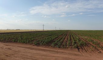 FM 597, Abernathy, TX 79311