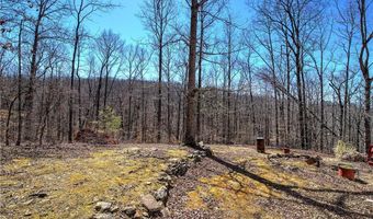 497 Cherokee Trl, Ball Ground, GA 30107