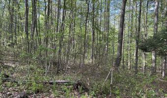 TBD McNair Road, Albright, WV 26519