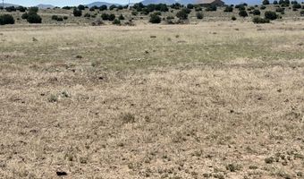 Windsor Valley Ranch Lot 135, Concho, AZ 85924