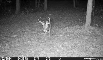 Chase Rd, Athens, OH 45701