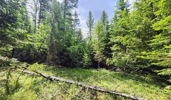 13727 Big Hawk Dr, Bigfork, MT 59911