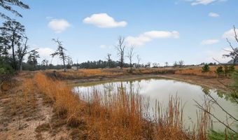 868 County Road 2920, Alba, TX 75410