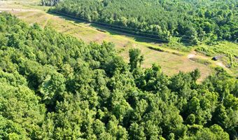AL HWY 223, Banks, AL 36005