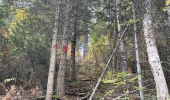 1728 Dry Creek Rd, Clark Fork, ID 83811