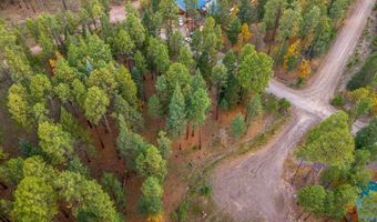 7 2190, Alpine, AZ 85920