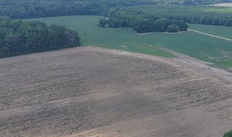 Dawling Bayou Road, Anguilla, MS 38721