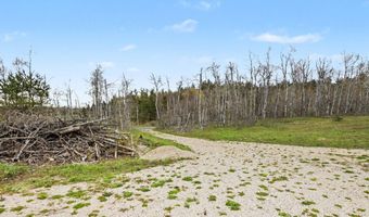 4056 N Ayr Rd, Alanson, MI 49706