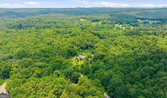 3561 Yonah Homer Rd, Alto, GA 30510
