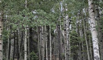Back Basin Road lot 4, Angel Fire, NM 87710
