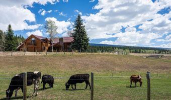 465 E RIGBY RD + 40 ACRES, Alta, WY 83414