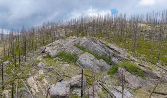 30 Sheep Horn Ct, Bellvue, CO 80512