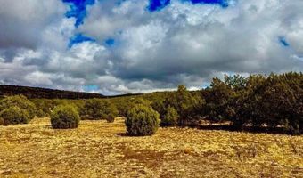 Tbd Co Rd 8256 Lot C 10 Acres, Concho, AZ 85924