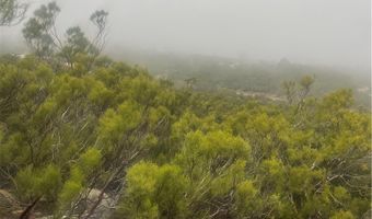 59752 Burnt Valley Rd, Anza, CA 92539