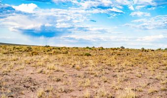 Tbd COUNTY ROAD N7012 40 ACRES, Chambers, AZ 86502