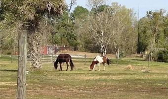 54523 ASTOR TRANSFER STATION Rd, Astor, FL 32102