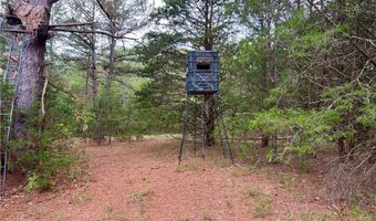 81 N Hwy, Calhoun Falls, SC 29628