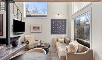 1024 E Cooper Ave 1, Aspen, CO 81611