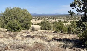 Lot 46 W Rawhide Ranch Road, Ash Fork, AZ 86320