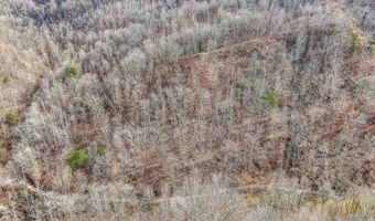 9999 Honeycutt Branch Turkey Crk, Barbourville, KY 40906