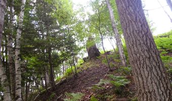 S Forest Lake, Alger, MI 48610